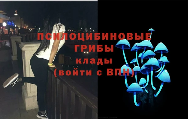 тгк Балахна