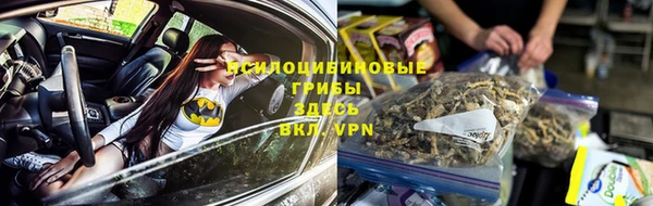 винт Белокуриха
