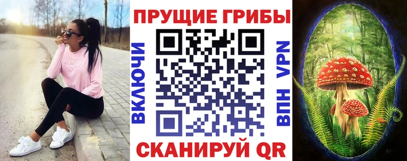 Купить где  Адыгейск  Псилоцибиновые грибы мухоморы 